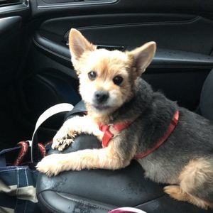 Meet your Posher, Carli